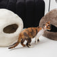 Cat exploring two natural cat beds, one white and one brown, on a light surface. | Natural, non‑toxic pet nest for cats and small dogs | Cozy, handmade pet furniture, natural wool and sheepskin

