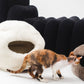 Cat exploring cat-shaped furniture on a white background | Natural, non‑toxic pet nest for cats and small dogs | Cozy, handmade pet furniture, natural wool and sheepskin

