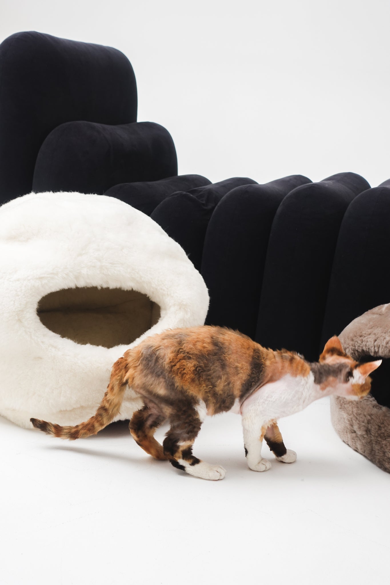 Cat exploring cat-shaped furniture on a white background | Natural, non‑toxic pet nest for cats and small dogs | Cozy, handmade pet furniture, natural wool and sheepskin

