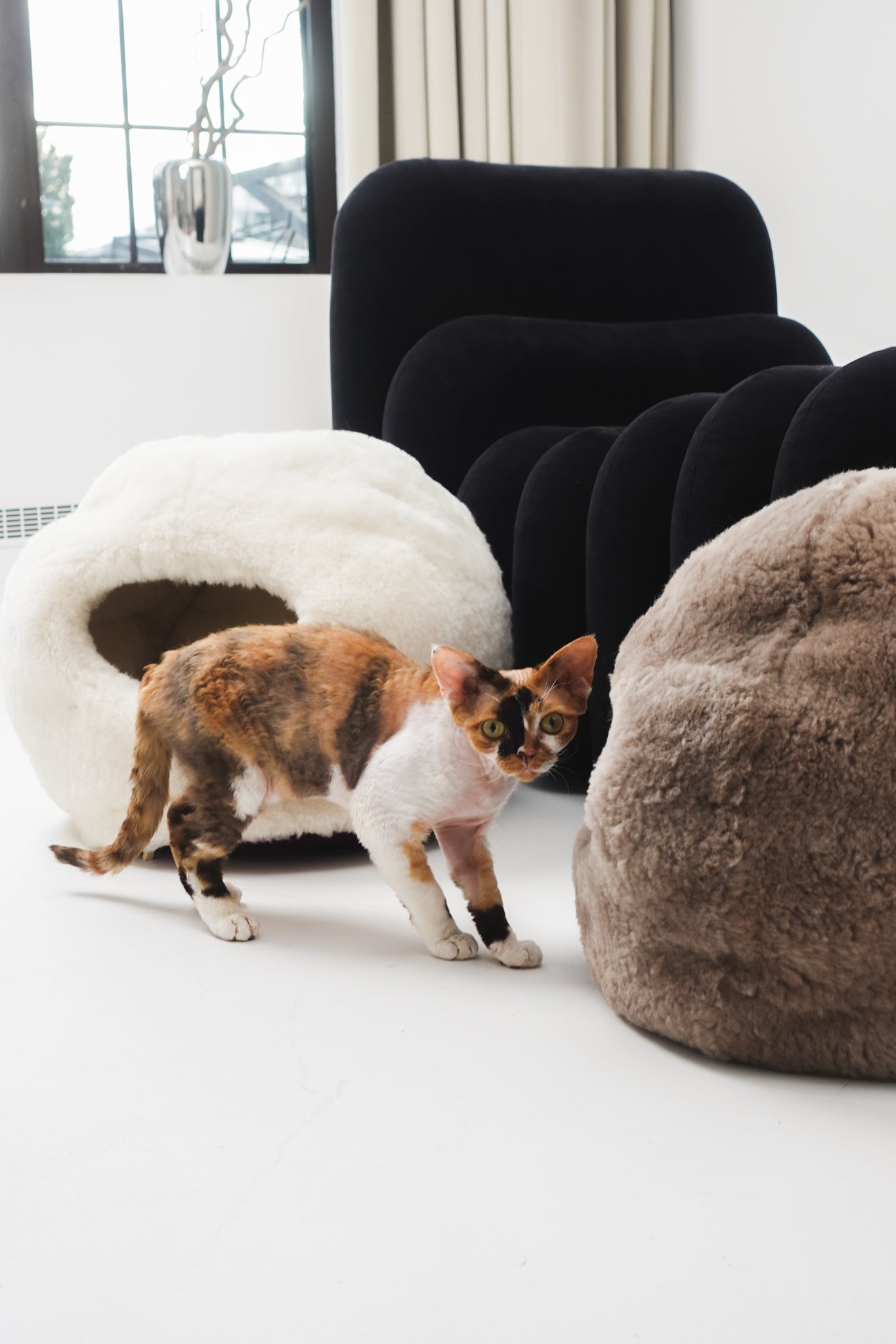 Cat walking on a white floor near fluffy sheepskin cat beds and chairs. | Natural, non‑toxic pet nest for cats and small dogs | Cozy, handmade pet furniture, natural wool and sheepskin

