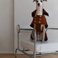 Water-repellent Dog Trench Coat - Chocolate Brown - MellowConceptStore