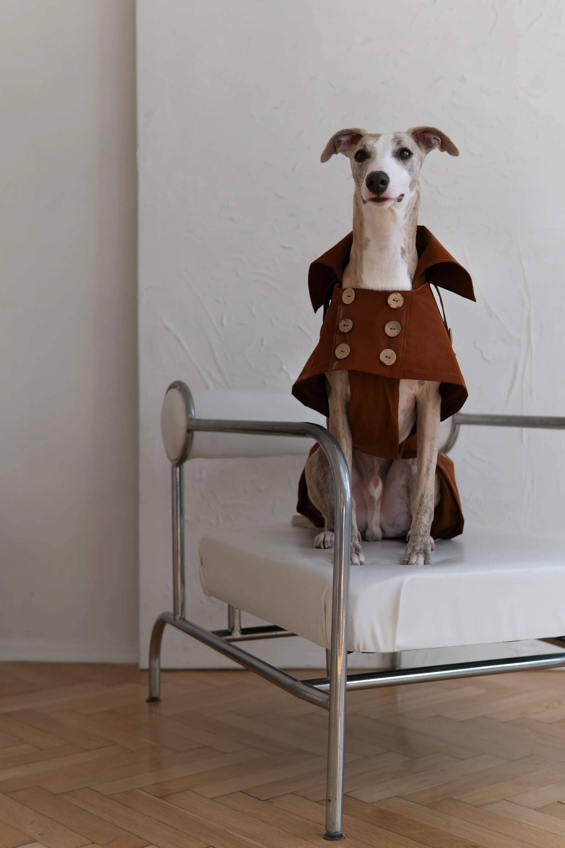 Water-repellent Dog Trench Coat - Chocolate Brown - MellowConceptStore