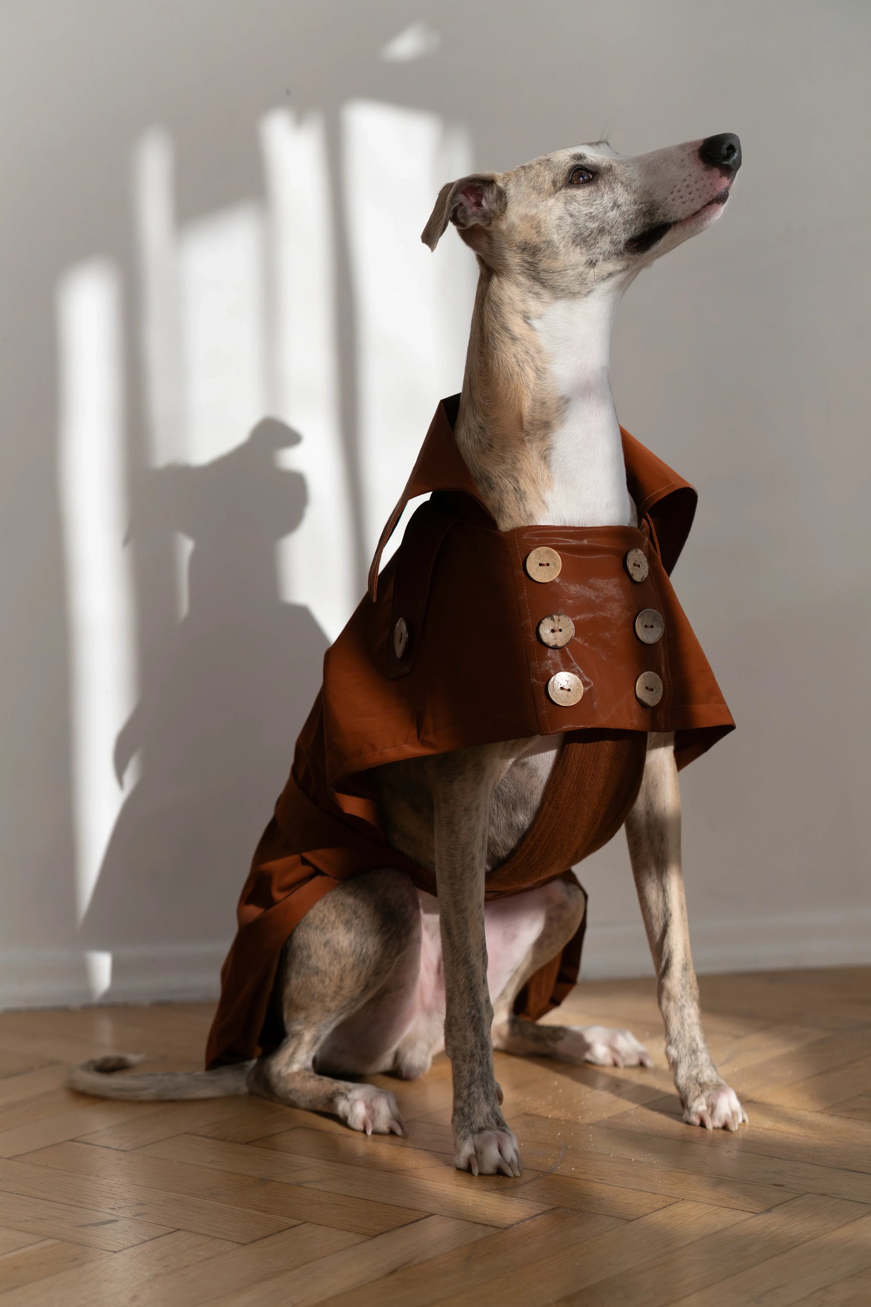 Water-repellent Dog Trench Coat - Chocolate Brown - MellowConceptStore