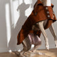 Water-repellent Dog Trench Coat - Chocolate Brown - MellowConceptStore