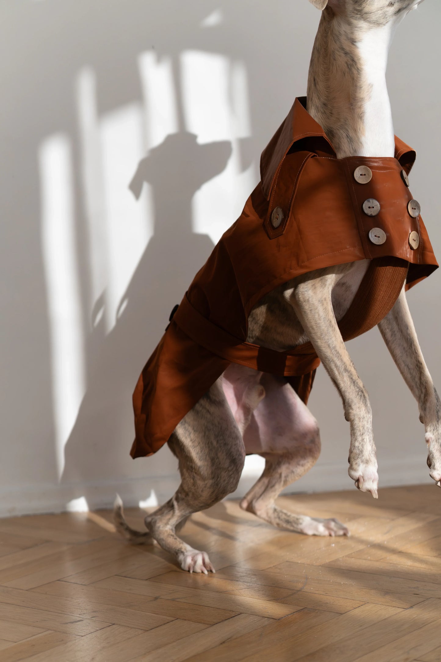 Water-repellent Dog Trench Coat - Chocolate Brown - MellowConceptStore
