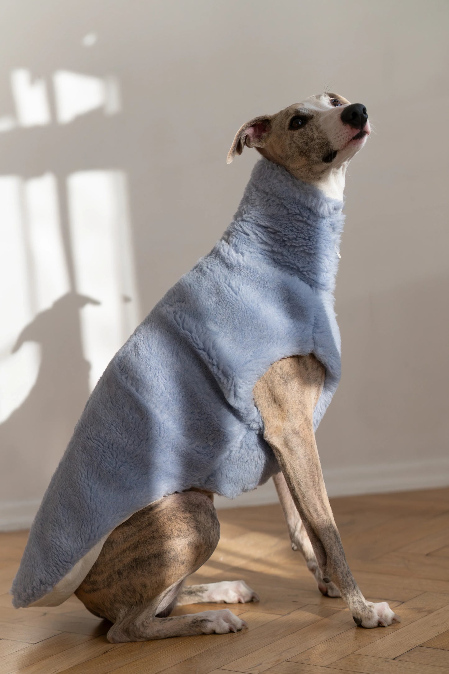 Woolen Dog Vest - Blue - MellowConceptStore