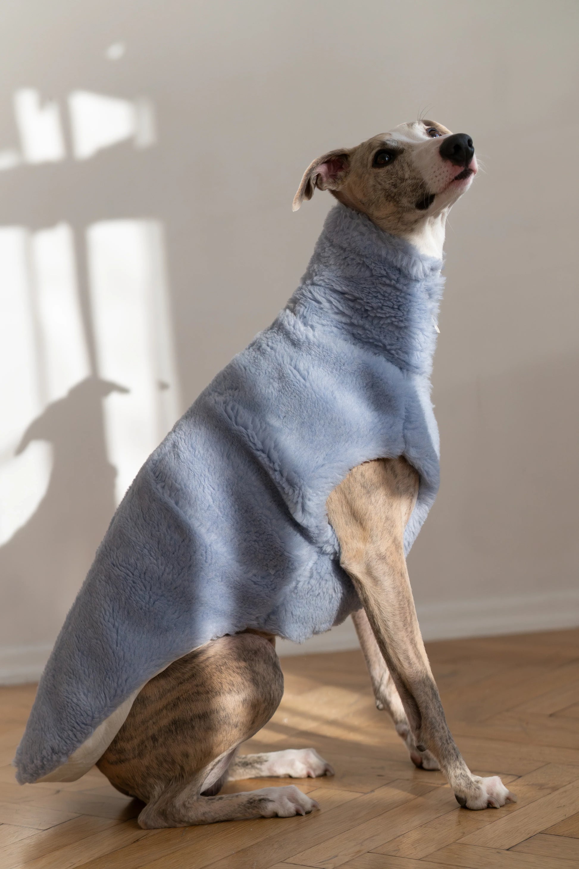 Woolen Dog Vest - Blue - MellowConceptStore