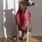 Woolen Dog Vest - Pink - MellowConceptStore