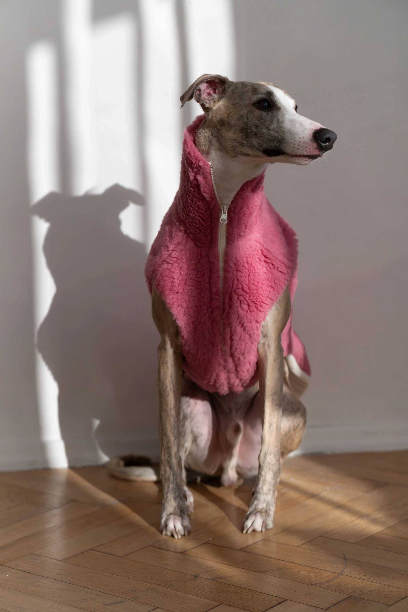 Woolen Dog Vest - Pink - MellowConceptStore