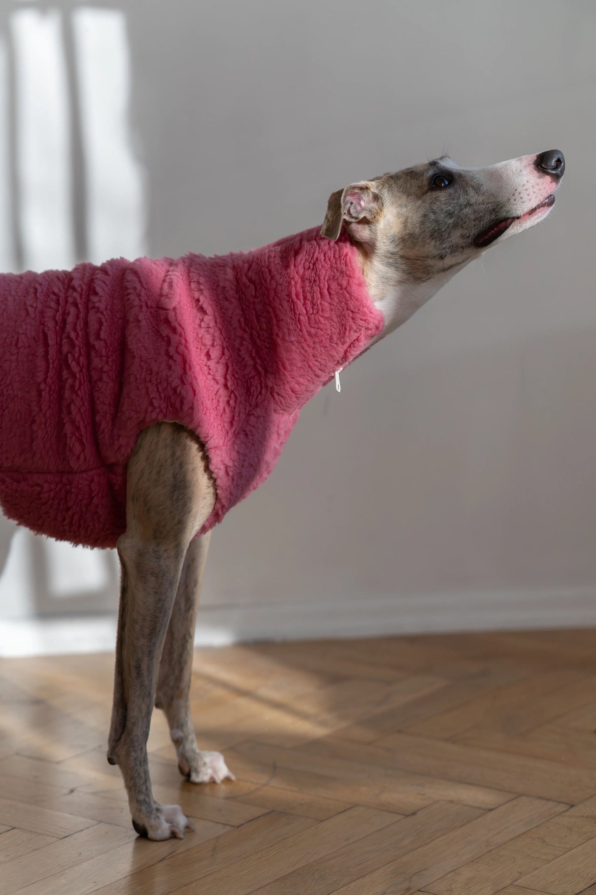 Woolen Dog Vest - Pink - MellowConceptStore