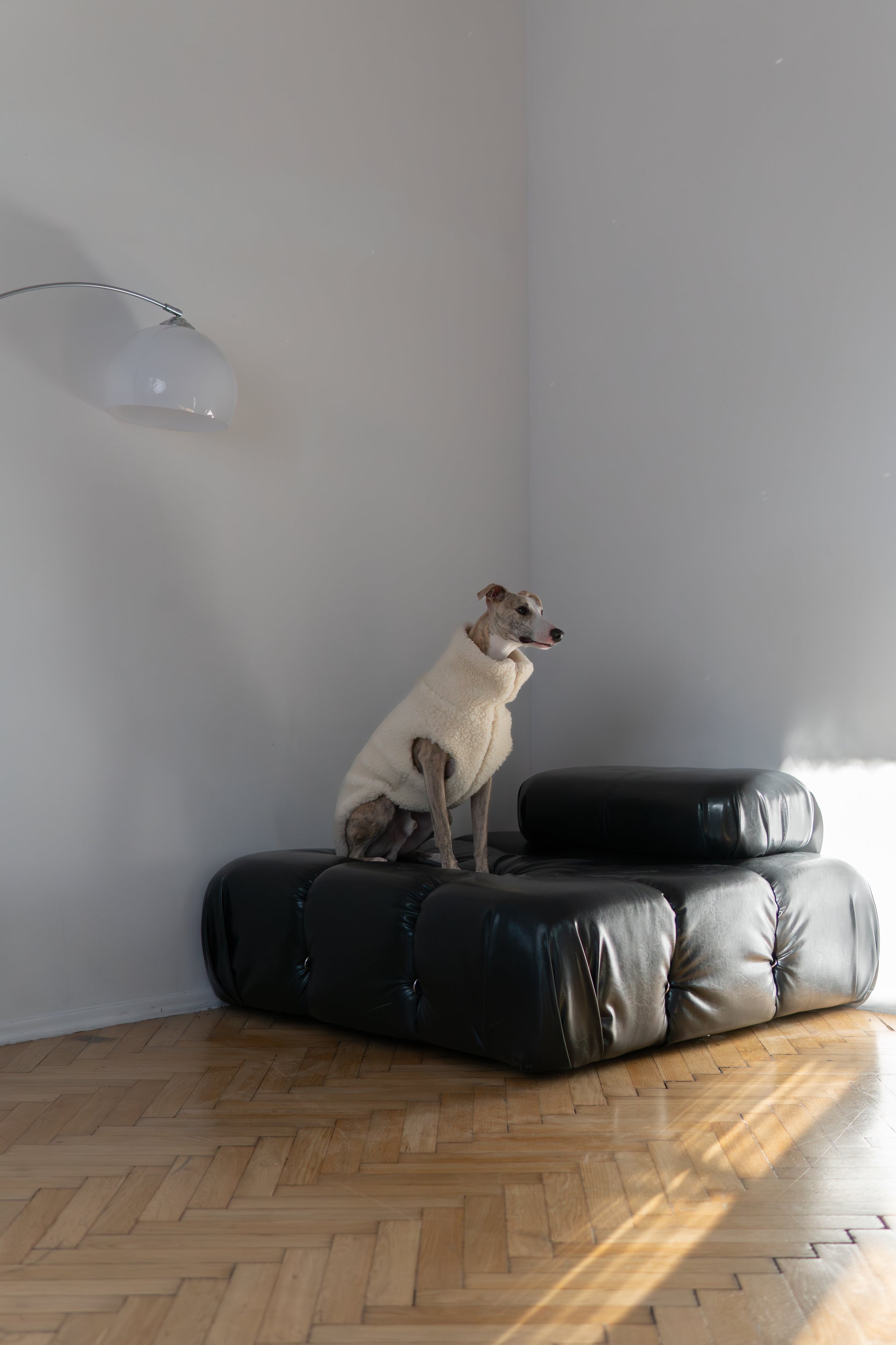 Woolen Dog Vest White