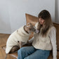 Woolen Dog Vest - Blue - MellowConceptStore