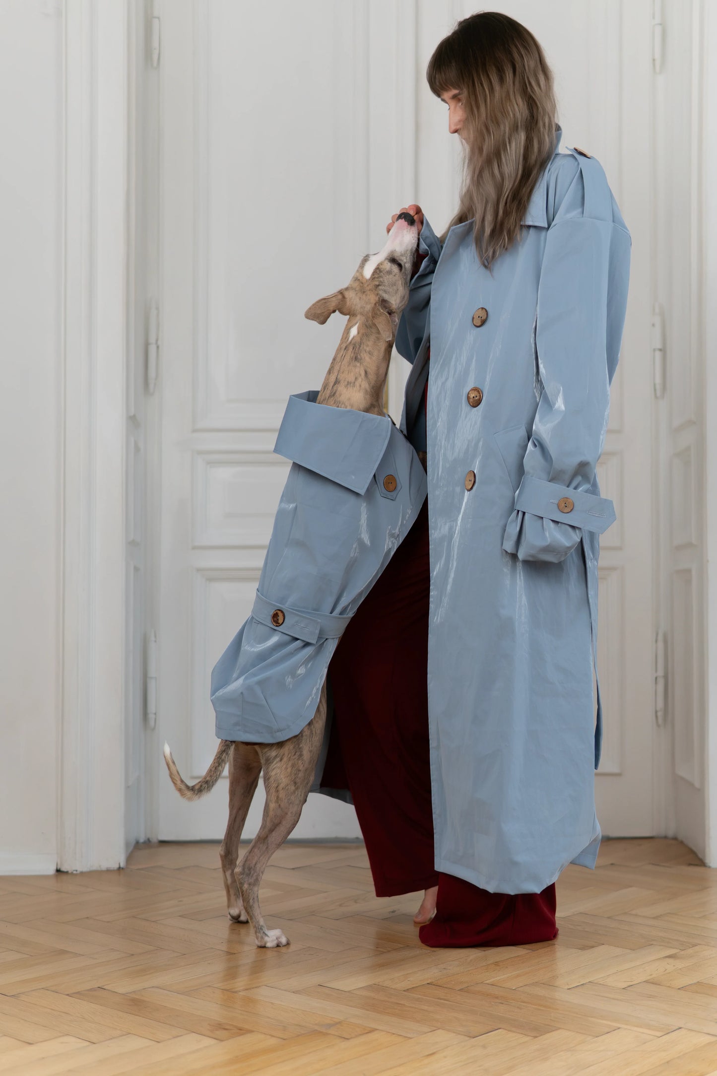 Water-repellent Dog Trench Coat - Light Blue - MellowConceptStore