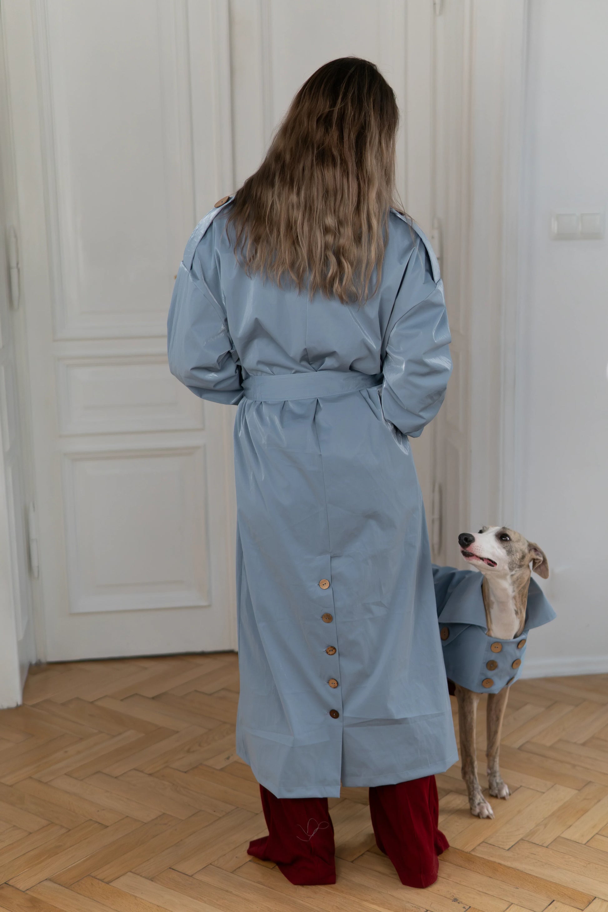 Water-repellent Dog Trench Coat - Light Blue - MellowConceptStore