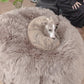 Natural Sheepskin Pouf / Ottoman - Greige - MellowConceptStore