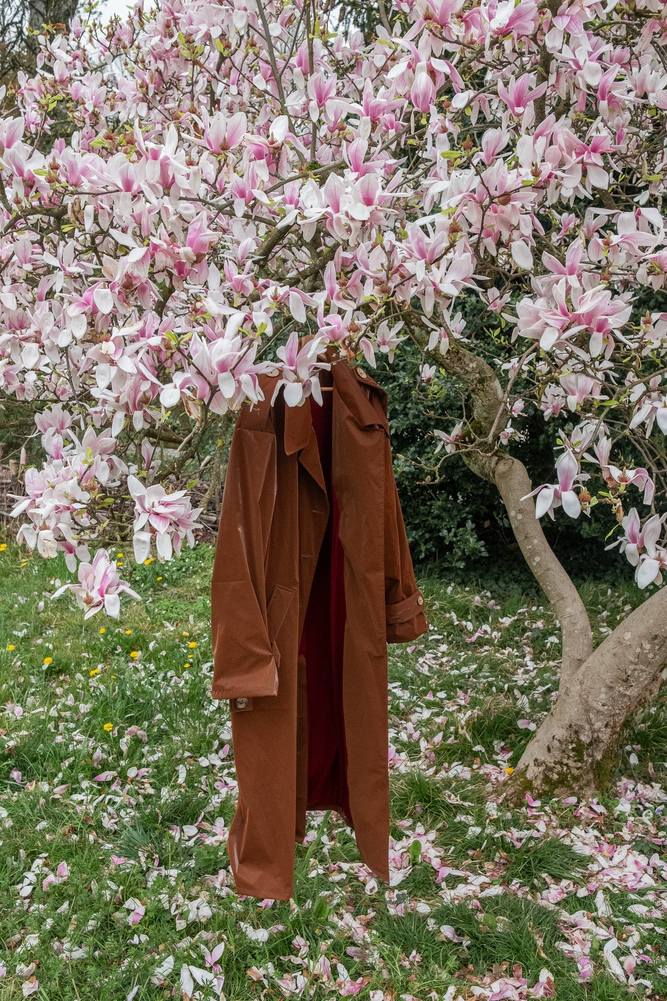 Trench Coat - Chocolate Brown