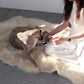 Natural Sheepskin Ivory Carpet - Irregular - MellowConceptStore