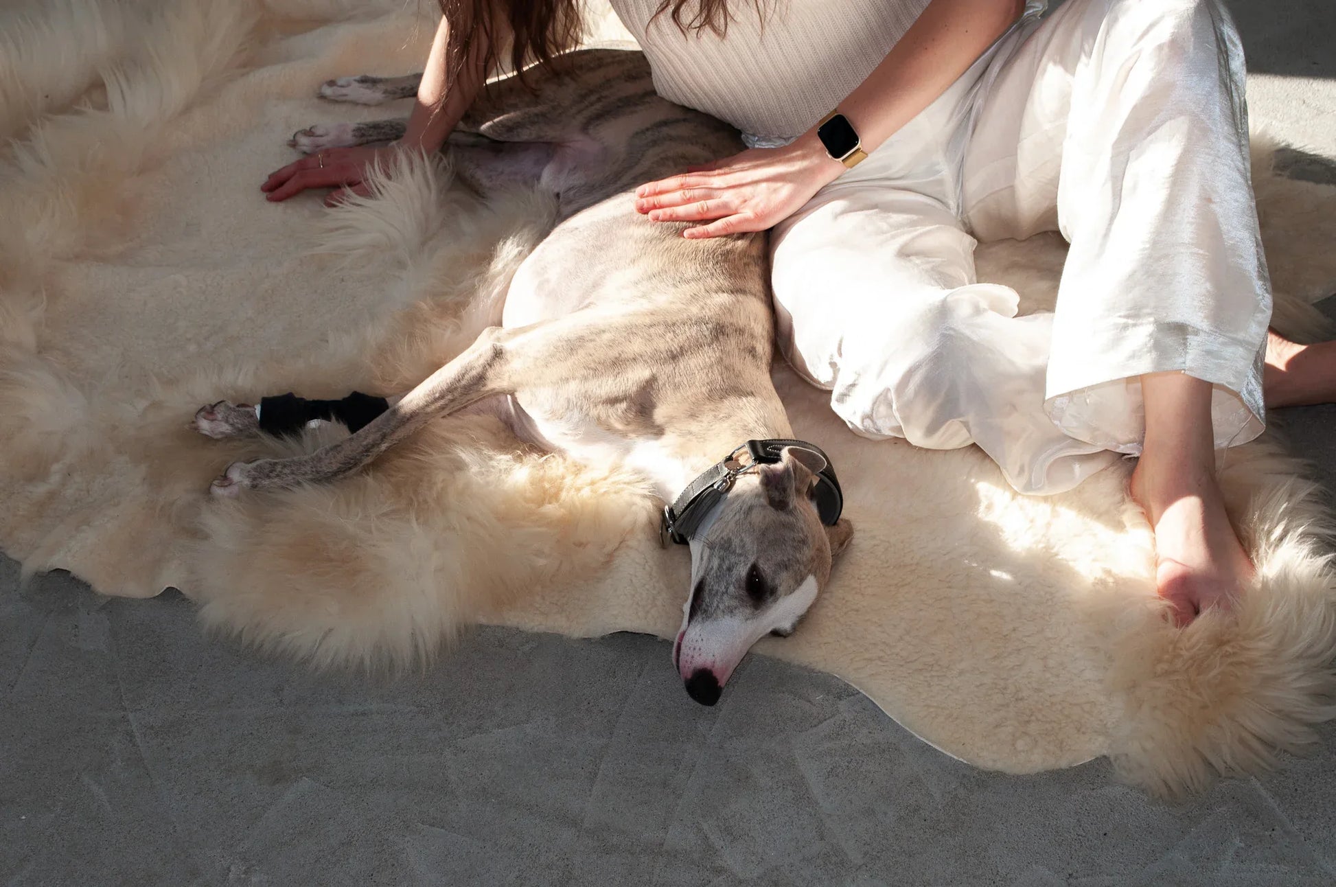 Natural Sheepskin Ivory Carpet - Irregular - MellowConceptStore