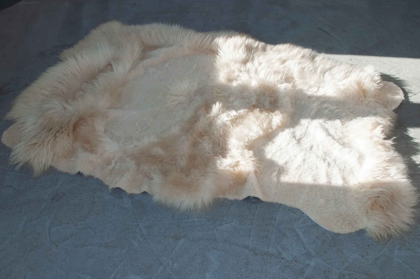 Natural Sheepskin Ivory Carpet - Irregular - MellowConceptStore