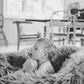 Natural Sheepskin Beanbag - Greige - MellowConceptStore