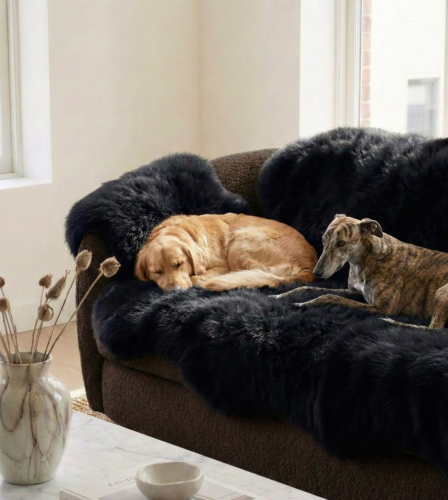 Genuine Black Sheepskin Couch Cover for Dogs — Natural Sofa Protector (Plastic-Free)