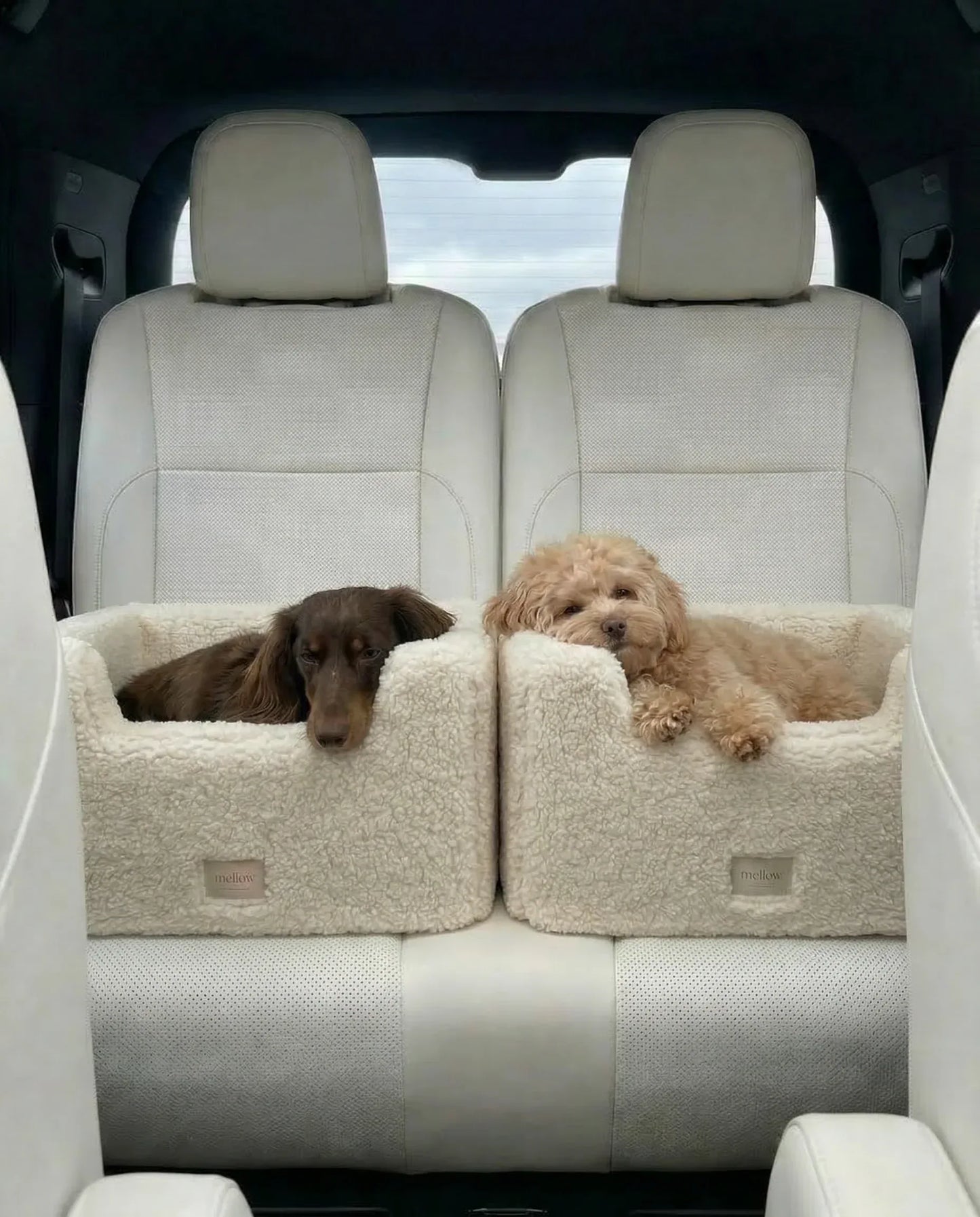 Natural Wool Dog Carrier - Beige - MellowConceptStore