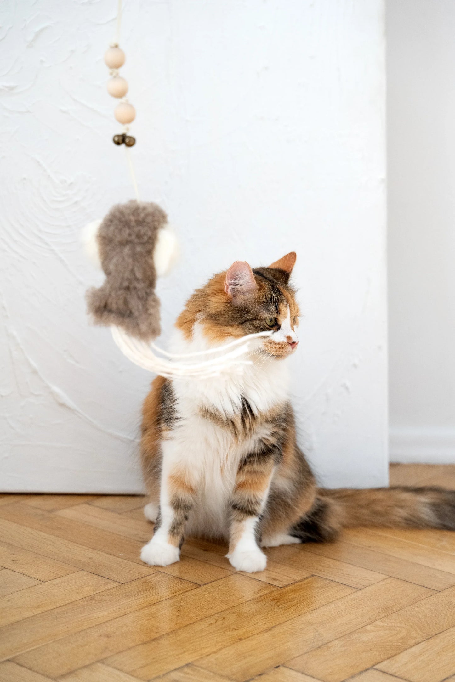 Natural Sheepskin Cat Toy: Squid - MellowConceptStore