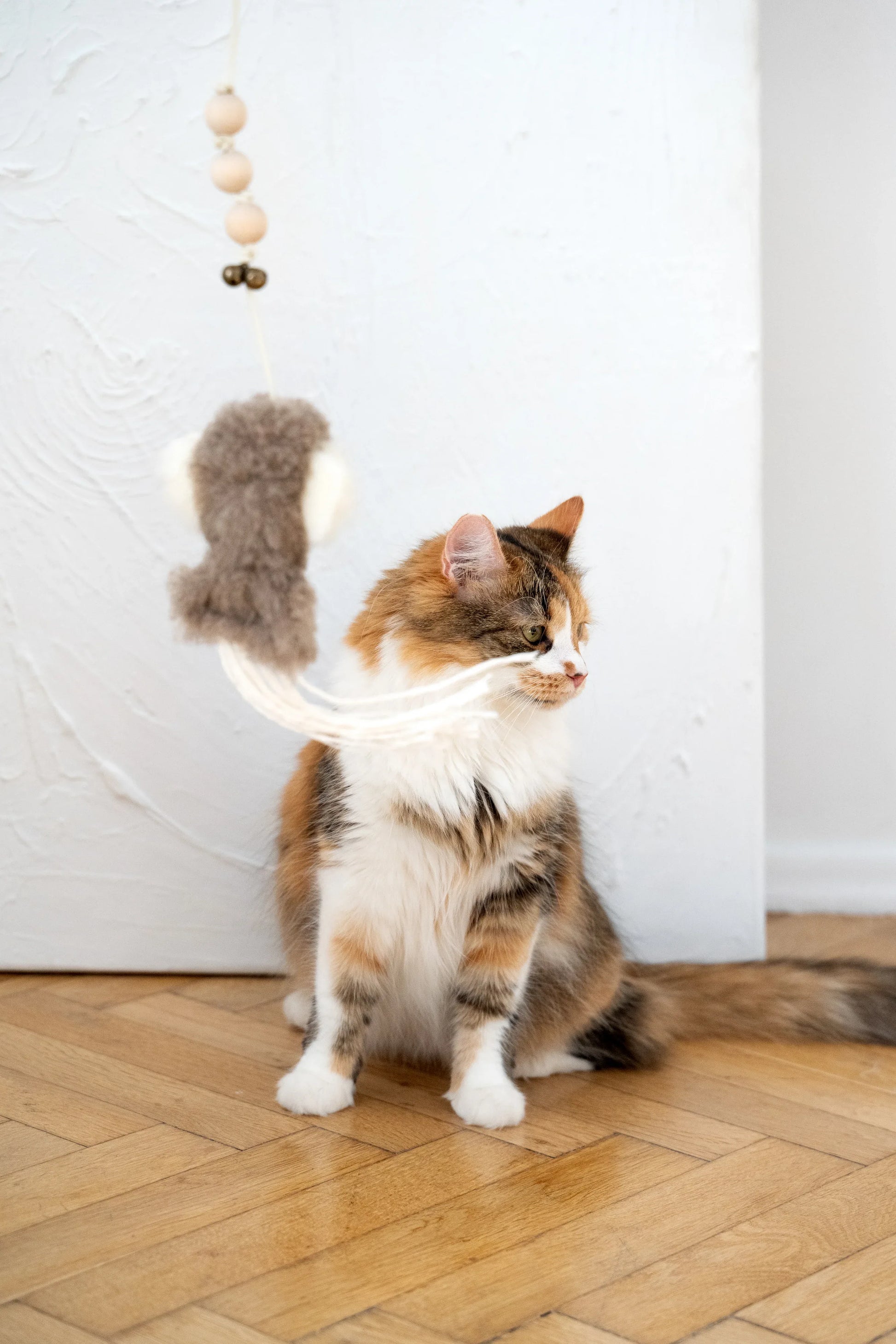 Natural Sheepskin Cat Toy: Squid - MellowConceptStore