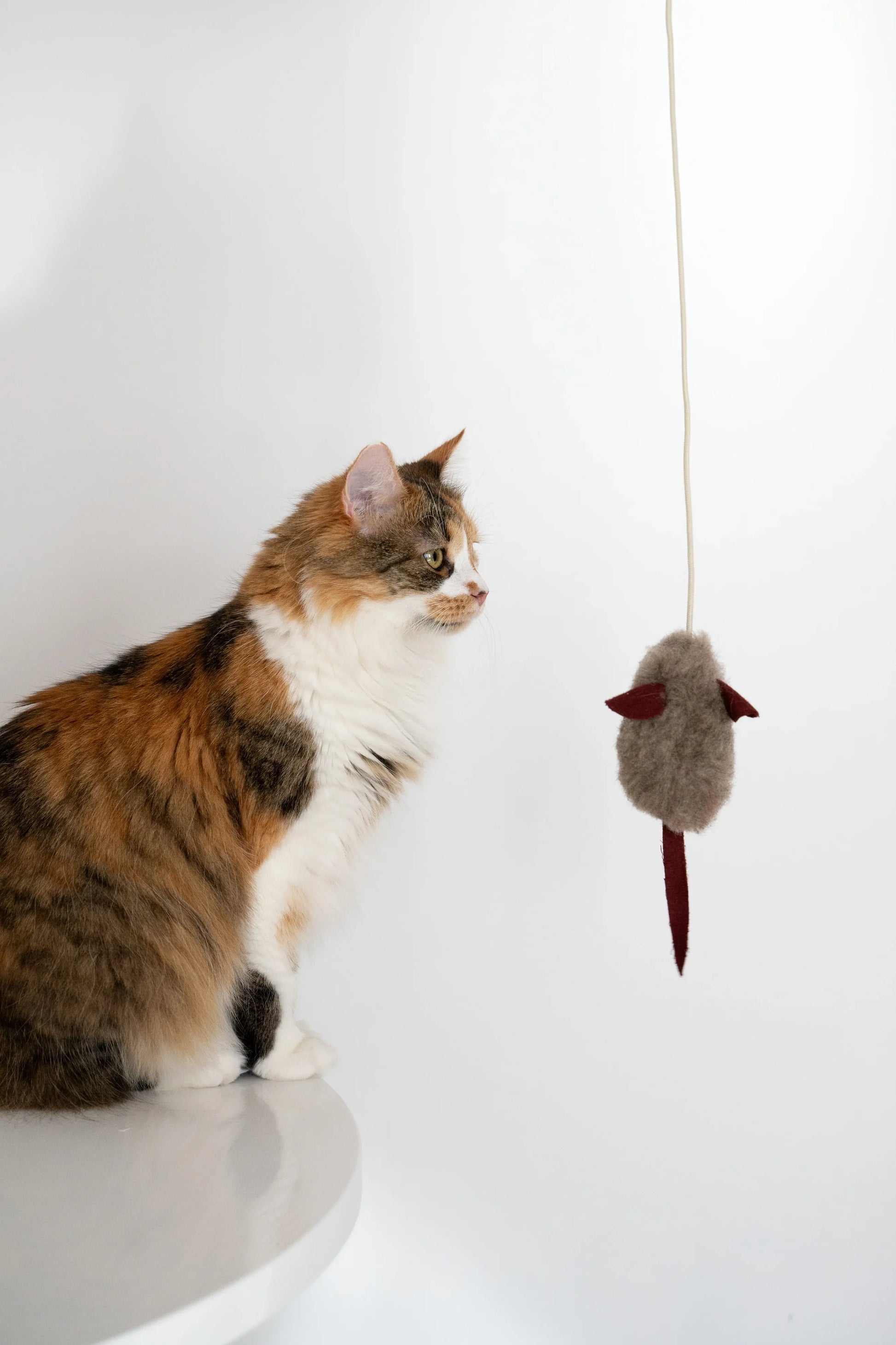 Natural Woolen Cat Toy: Mouse - MellowConceptStore