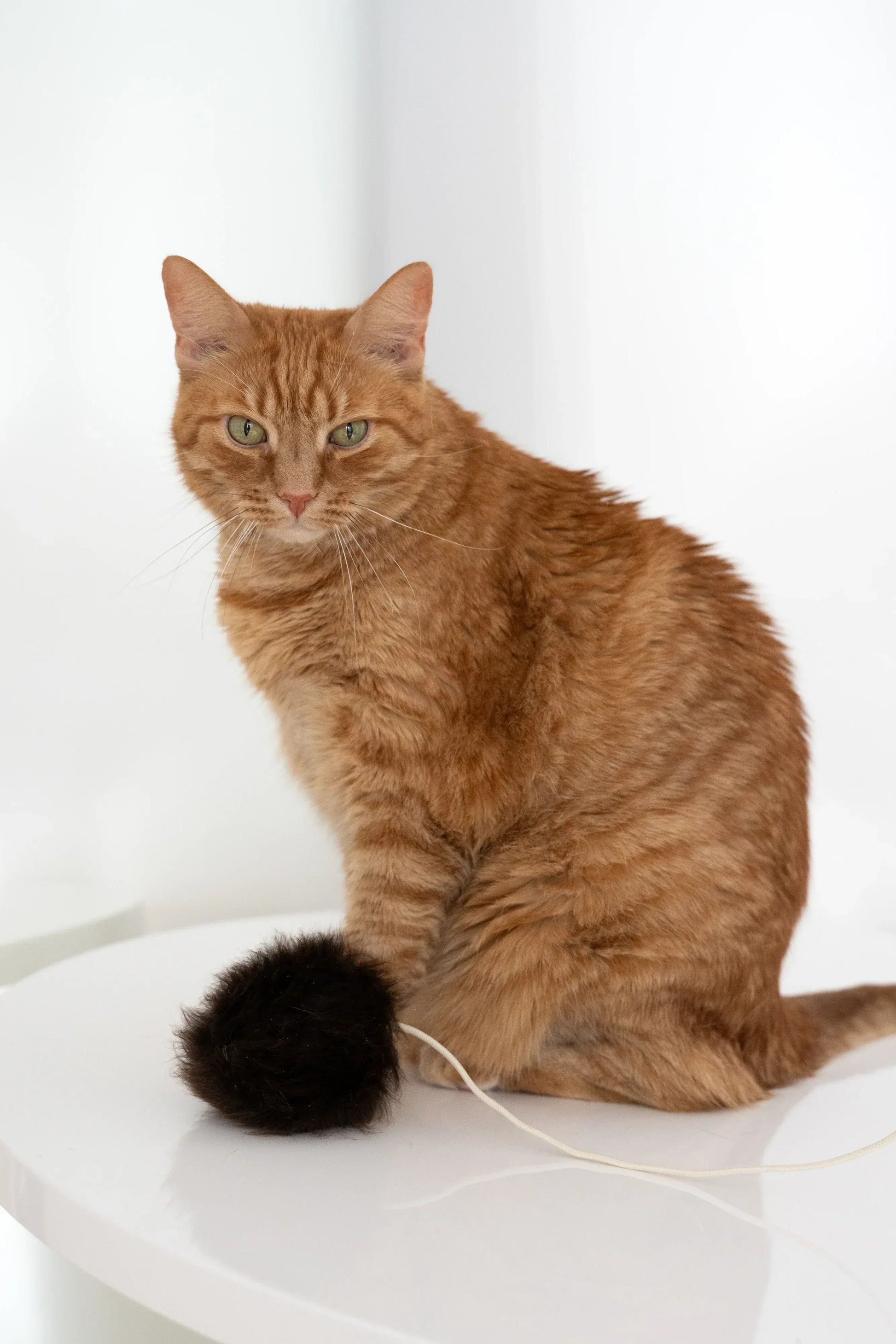 Natural Sheepskin Cat Toy: Ball - MellowConceptStore