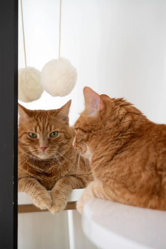 Natural Sheepskin Cat Toy: Ball - MellowConceptStore