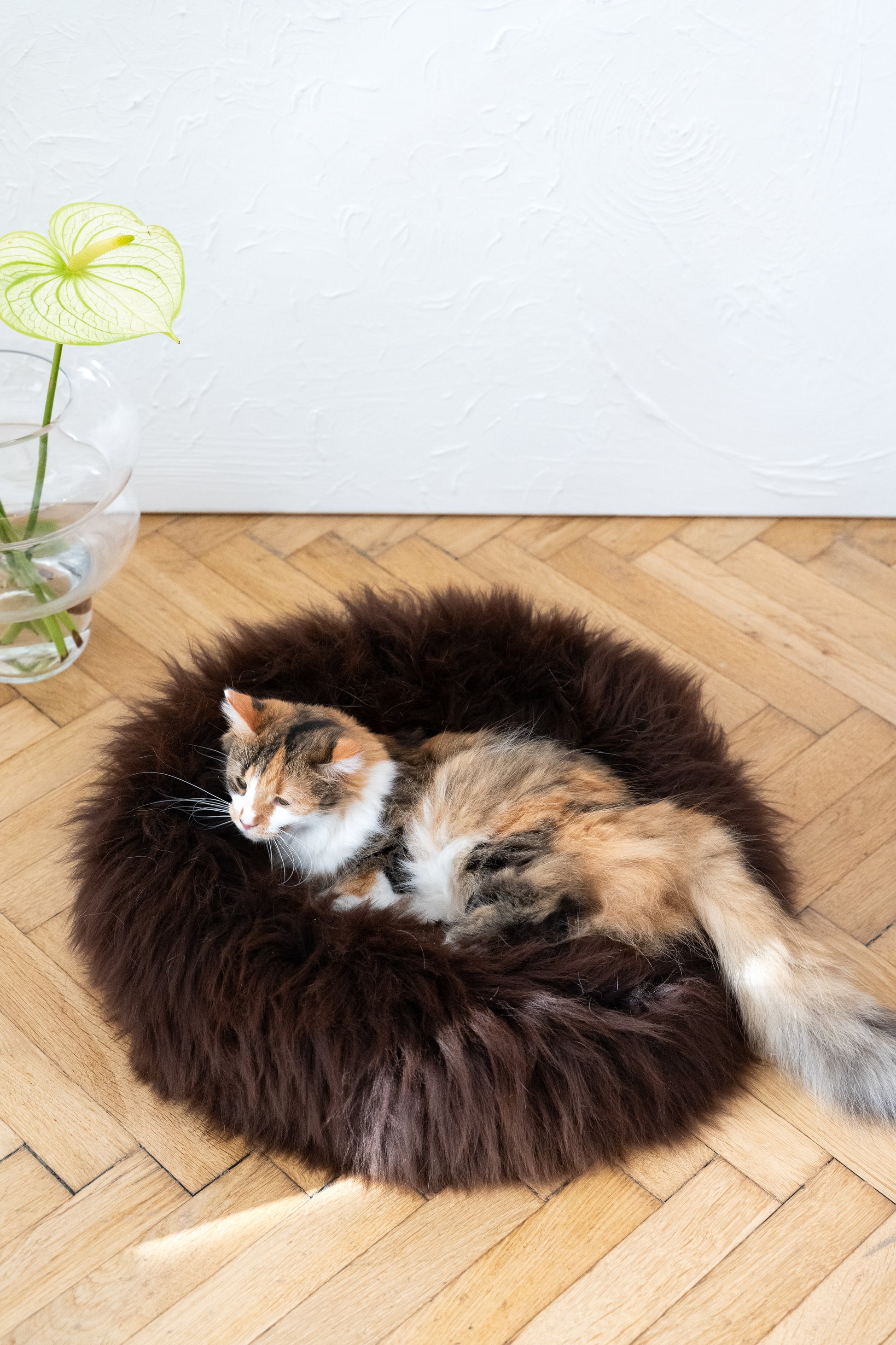 Round Natural Sheepskin Pet Bed Brown