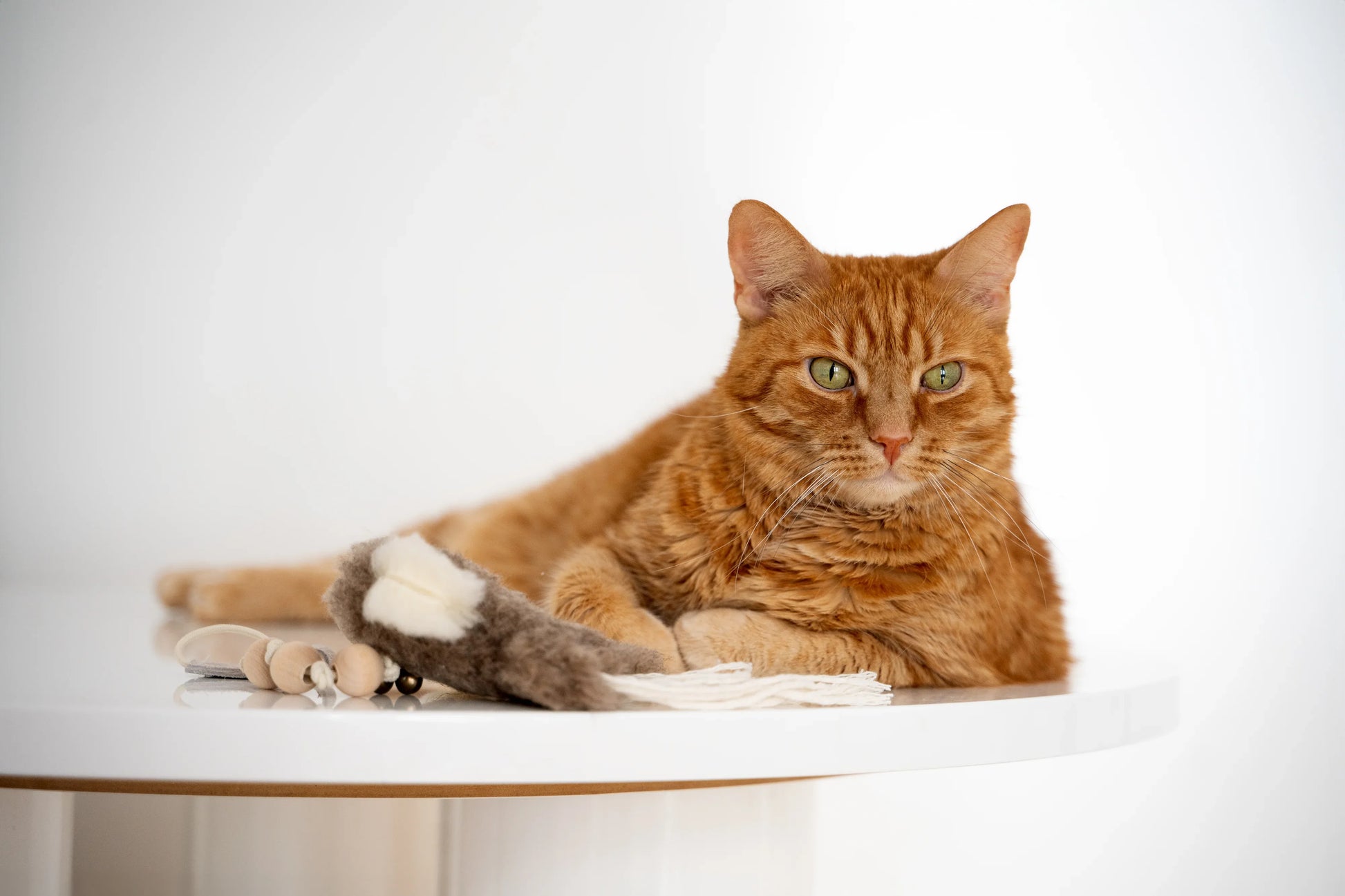 Natural Sheepskin Cat Toy: Squid - MellowConceptStore