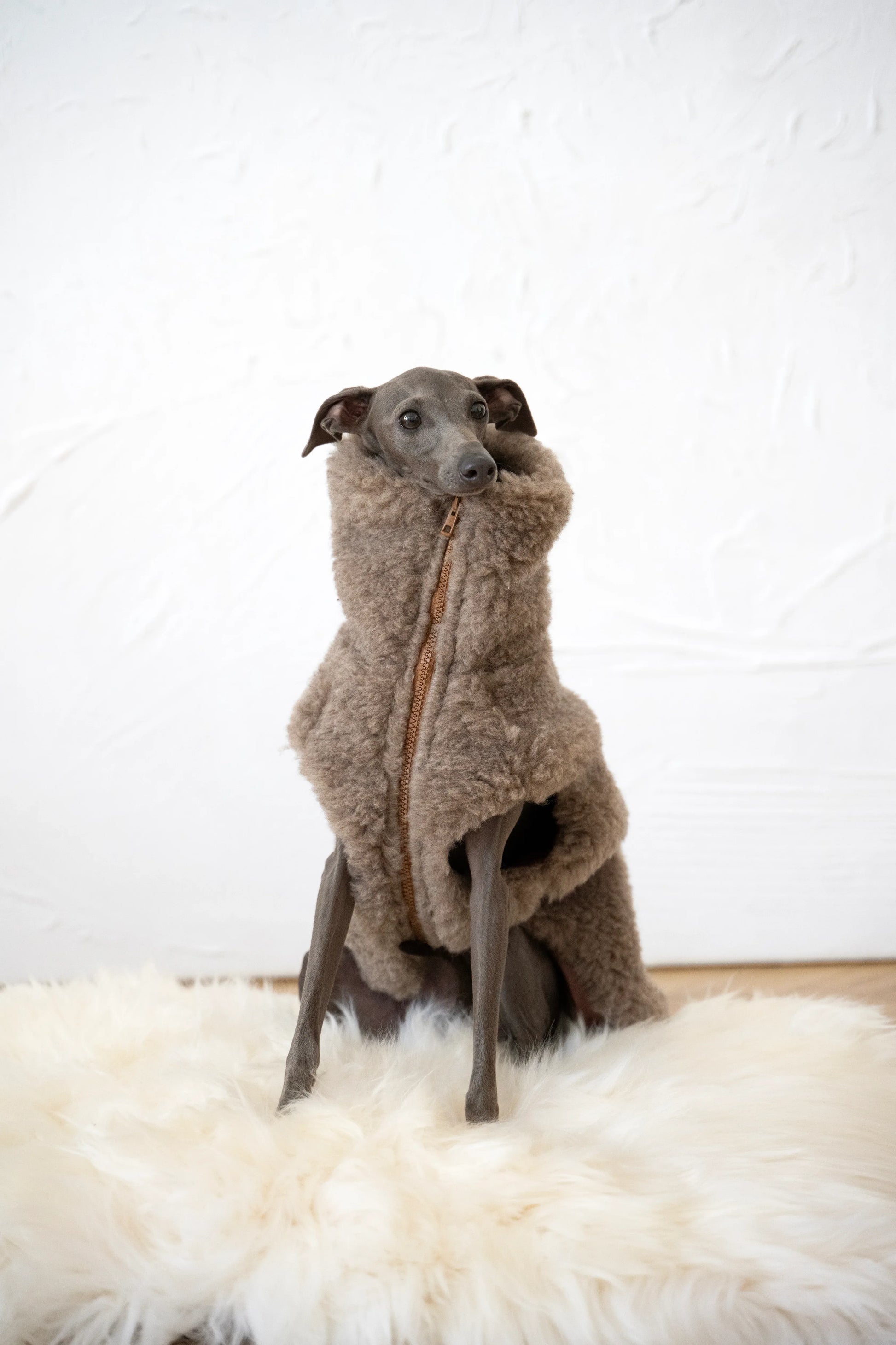 Woolen Dog Vest - Beige - MellowConceptStore