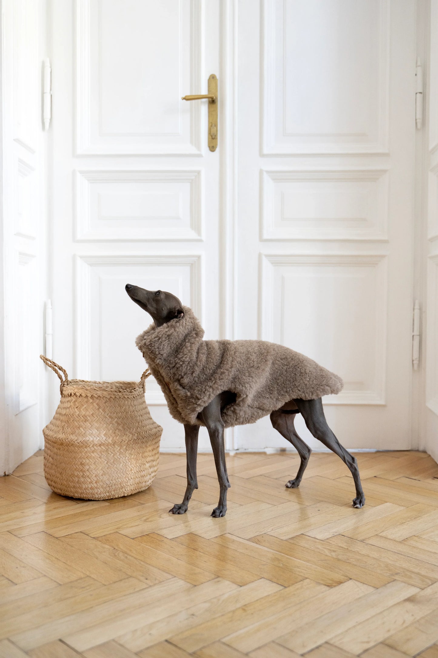 Woolen Dog Vest - Beige - MellowConceptStore
