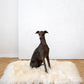 Square or Rectangular Natural Sheepskin Pet Mat  White