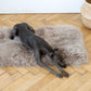 Square or Rectangular Natural Sheepskin Pet Mat Greige