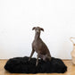 Square or Rectangular Natural Black Sheepskin Pet Mat 