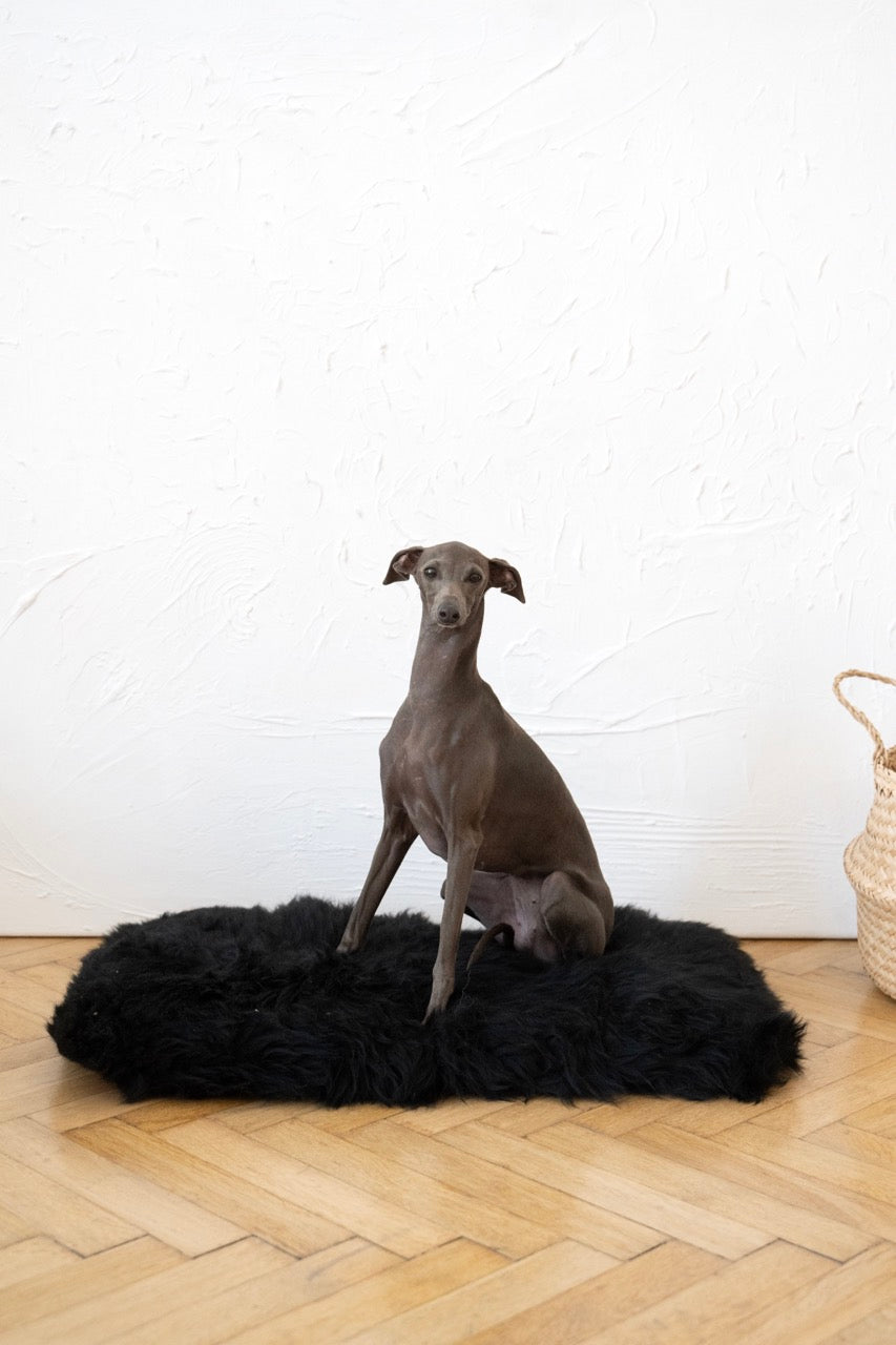 Square or Rectangular Natural Black Sheepskin Pet Mat 