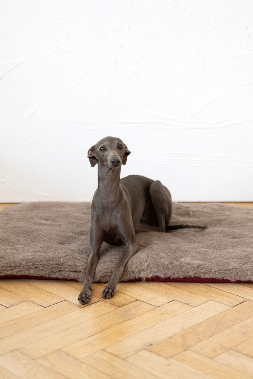 Square or Rectangular Natural Woolen Pet Mat Beige