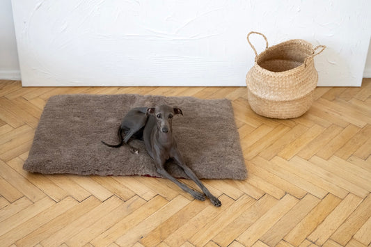 Square or Rectangular Natural Woolen Pet Mat Beige