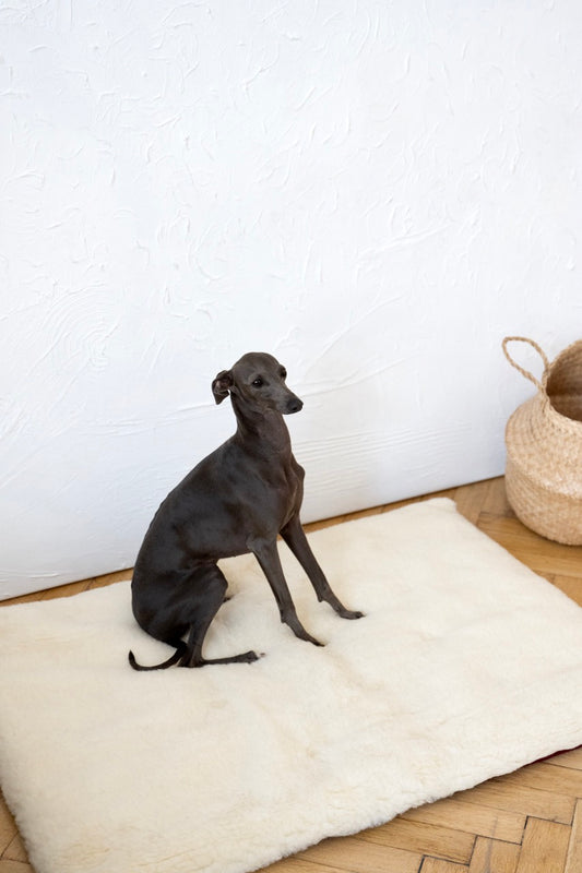 Square or Rectangular Natural White Woolen Pet Mat 