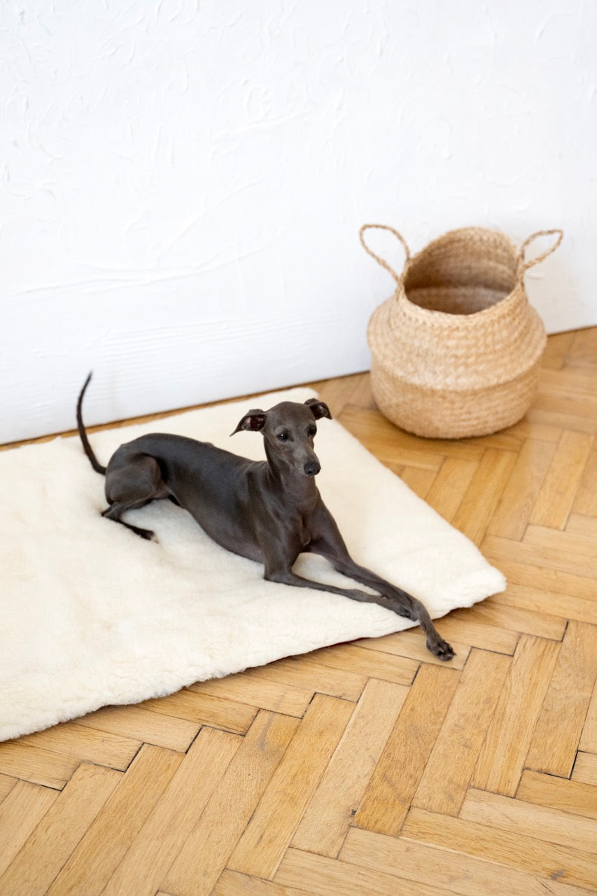 Square or Rectangular Natural White Woolen Pet Mat 