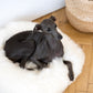 Round Natural Sheepskin White Pet Bed 