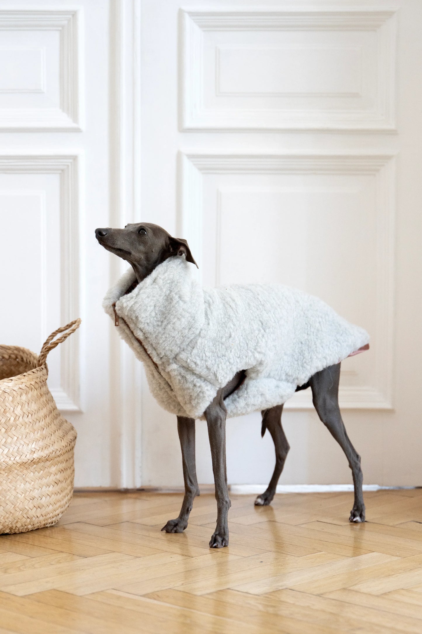 Woolen Dog Vest - Light Grey - MellowConceptStore