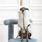 Woolen Dog Vest - Light Grey - MellowConceptStore