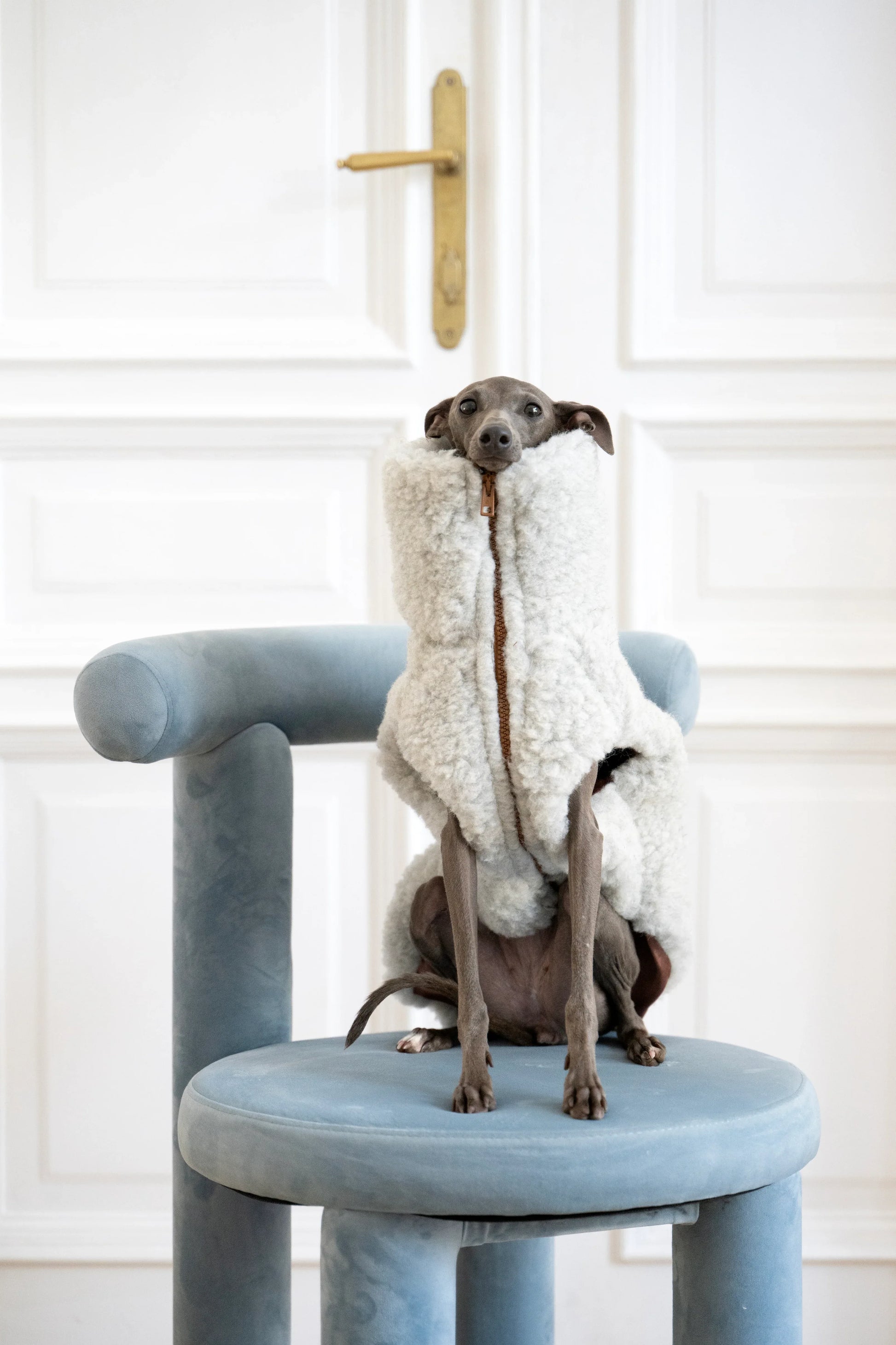Woolen Dog Vest - Light Grey - MellowConceptStore