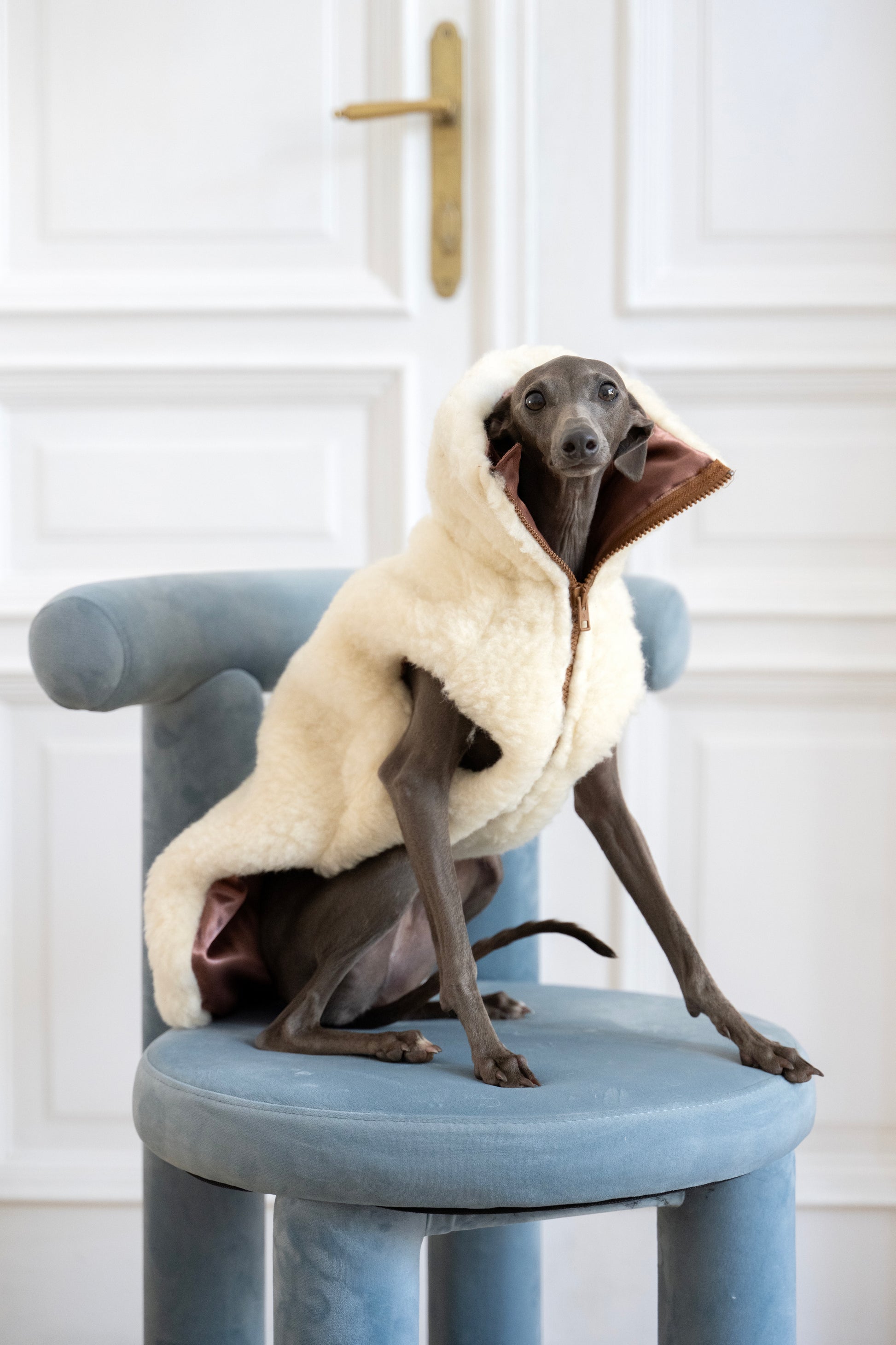 Woolen Dog Vest White