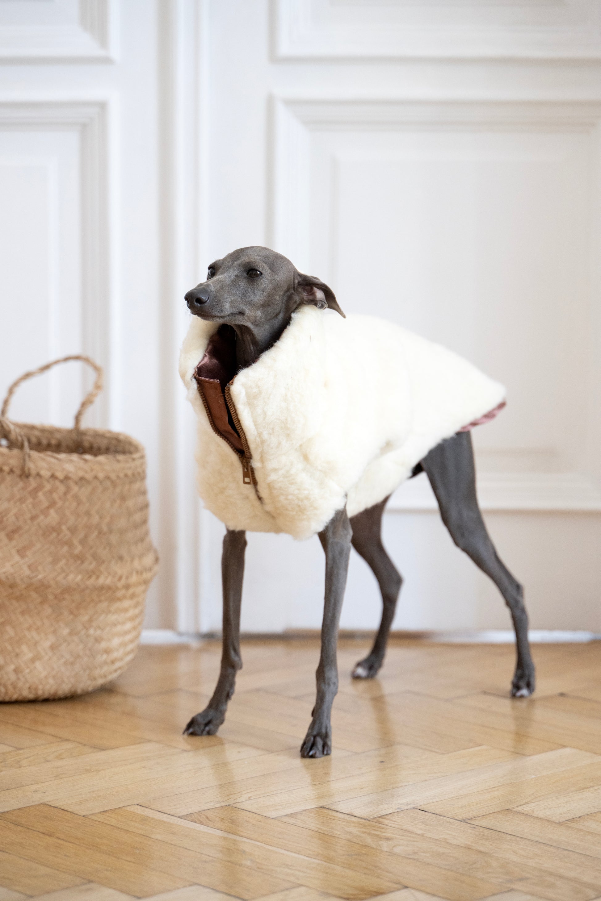 Woolen Dog Vest White