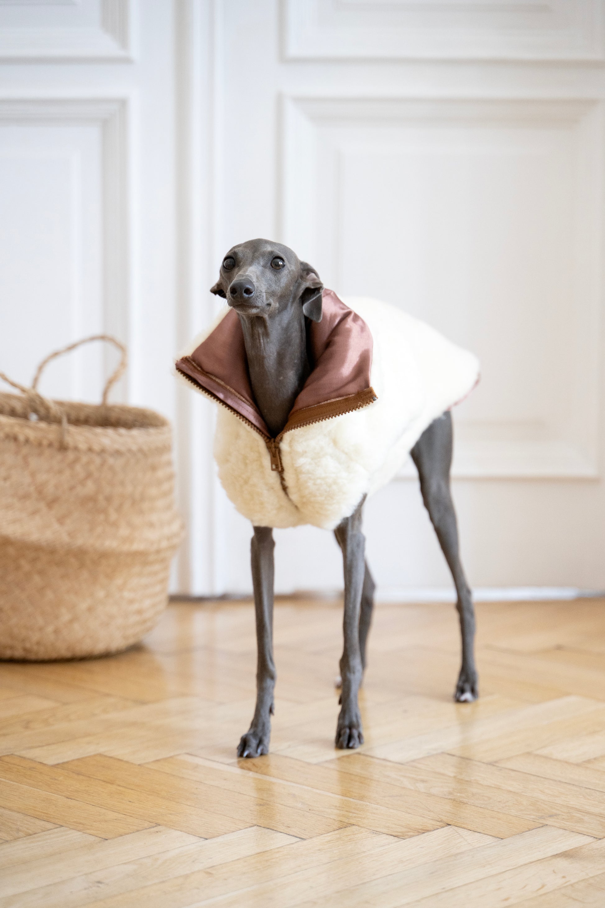 Woolen Dog Vest White